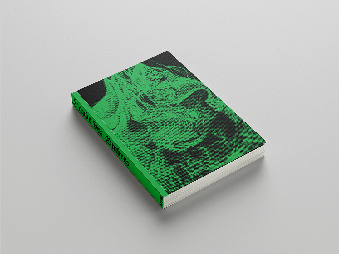 Livre de campagne L'aube des Ombres